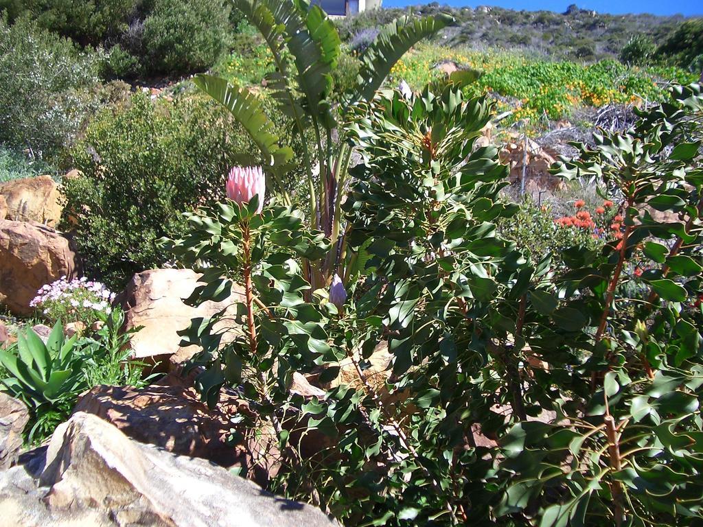 A Place In Thyme Fish Hoek Kültér fotó